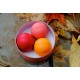 EOS 3 Pack Smooth Rachel Roy Limited Edition Лимитированный набор из 3-x смягчающих и увлажняющих бальзамов для губ