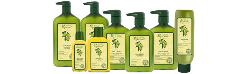 Organics Olive Organics Olive